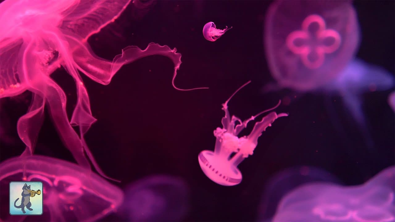 Neon Jellyfish Aquarium ~ Relaxing Music for Sleep, Study, Meditation & Yoga ⢠Screensaver ⢠6 HOURS