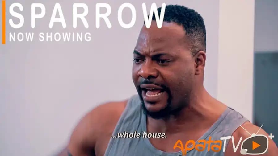 sparrow