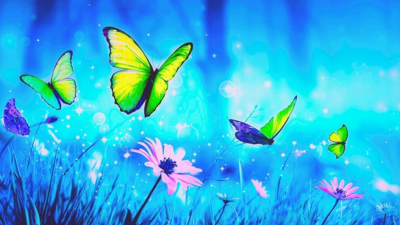 Ney Sesi, Yağmur Sesi, Enstrümantal Müzik, Sufi Müzik, Huzur Veren Sesler | Dinlendirici Müzikler ❤️
