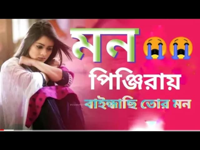 Mon Pinjira | মন পিঞ্জিরা | Rakib Musabbir | Shilpi Biswas | Official Music Video | Bangla Hits Song
