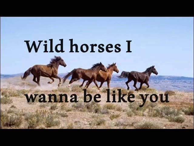 Natasha Bedingfield~Wild Horses Lyrics