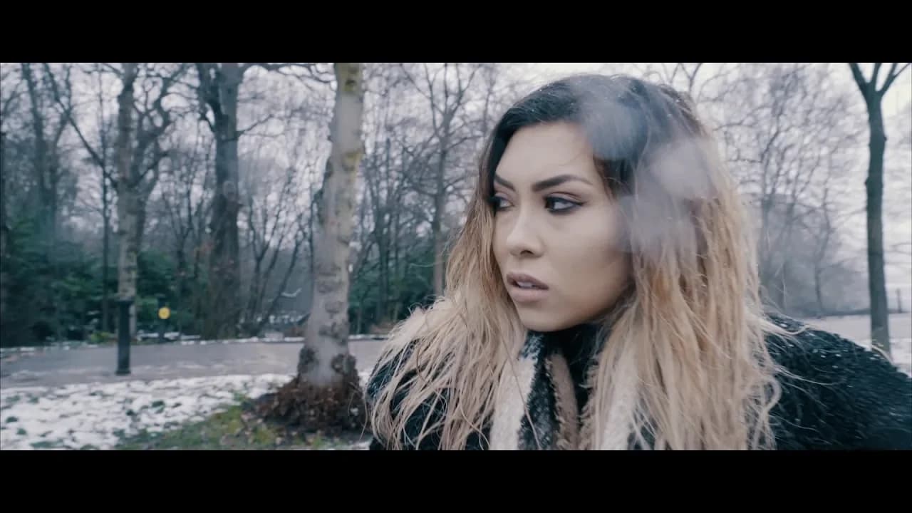 Joel Corry - Fallen feat. Hayley May [Official Video]