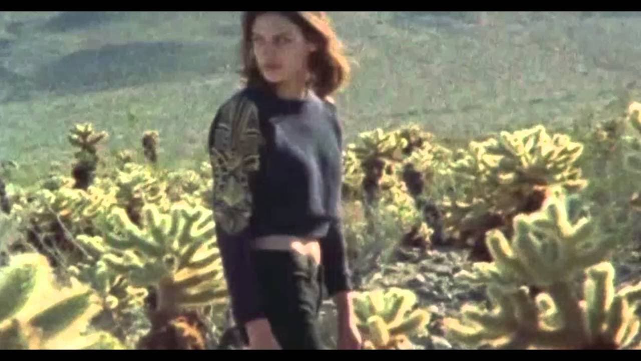 Talal Qureshi - Coconut Paradise