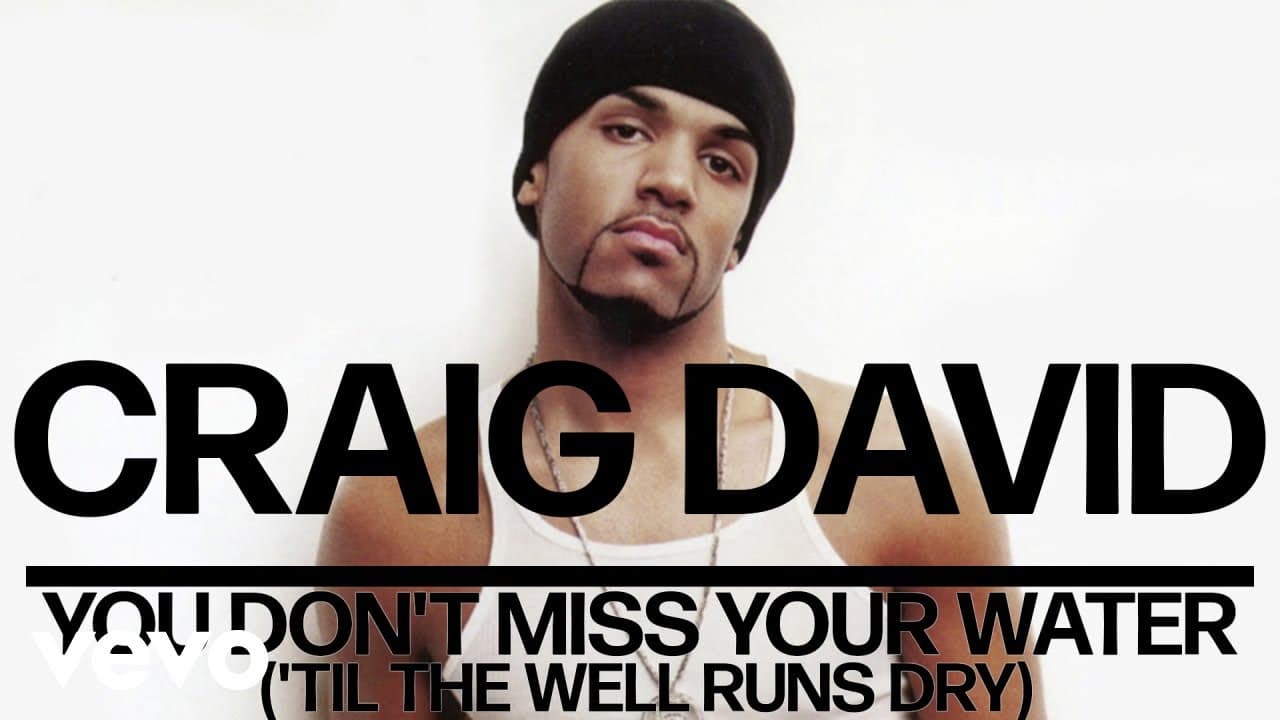 Craig David - You Don't Miss Your Water ('Til the Well Runs Dry) (Official Audio)