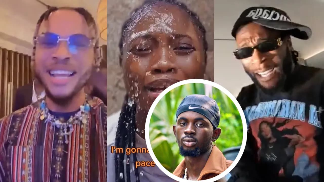 Poco Lee , Burna Boy, Big Celebrities  Dance To Kwaku The Traveller By Black Sherif