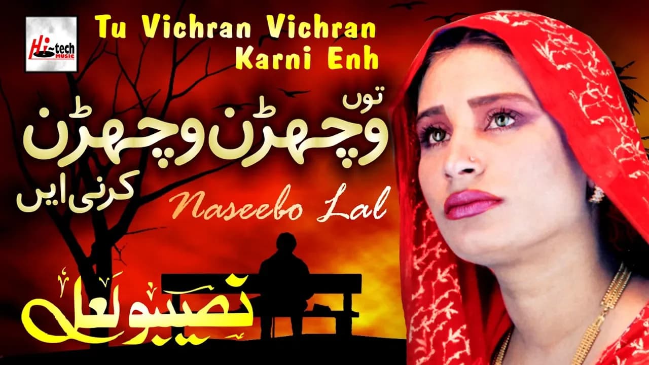 Tu Vichran Vichran Karni - Best of Naseebo Lal - HI-TECH MUSIC
