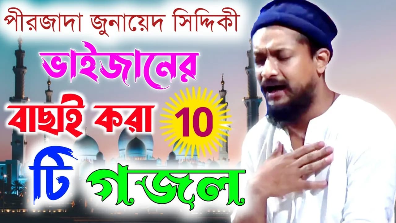 পীরজাদা জুনায়েদ সিদ্দিকী ভাইজানের বাছাই করা ১০ টি গজল//pirjada junaid siddiqui gojol//Junaid naat