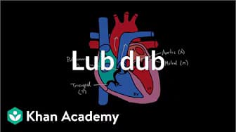 Circulatory system physiology | NCLEX-RN | Khan Academy