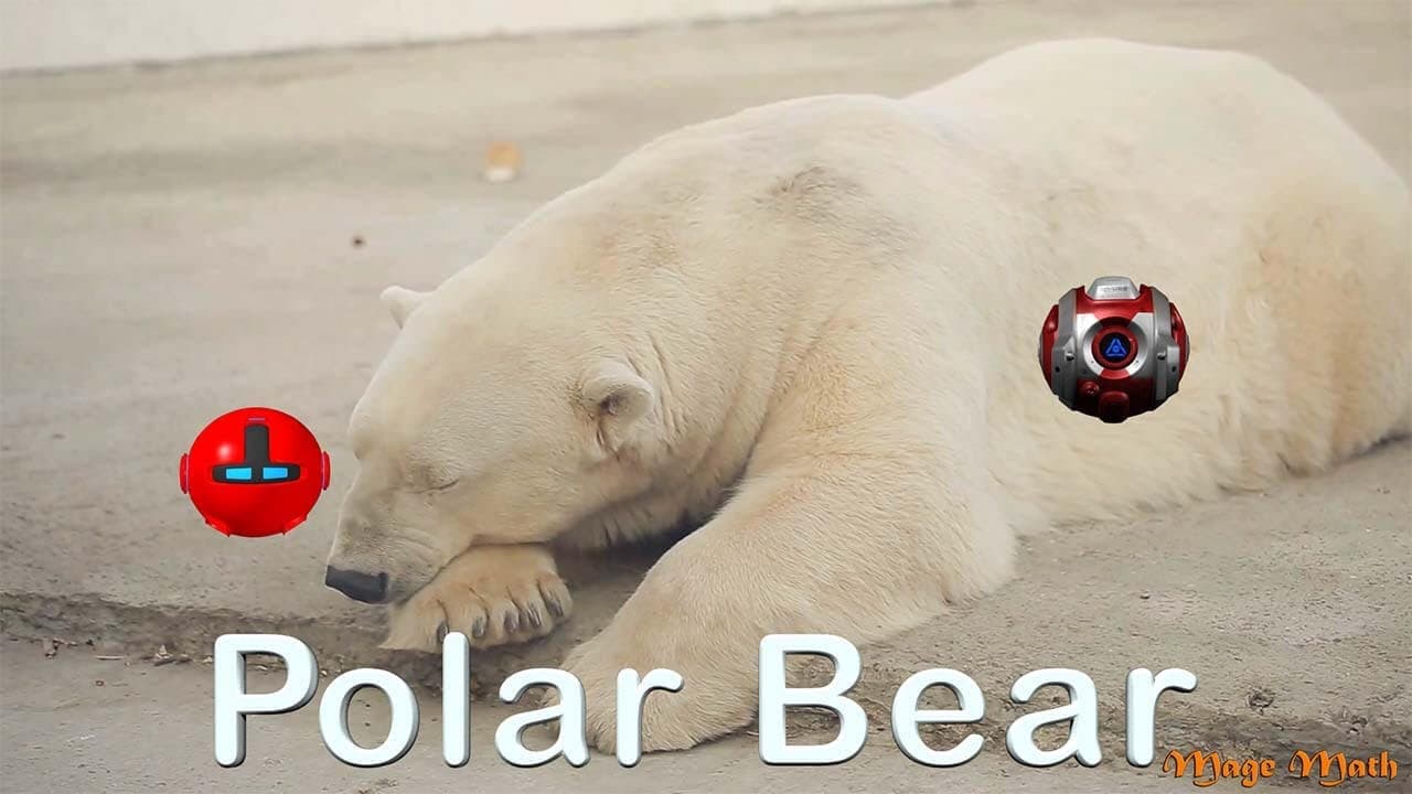 AR Videos