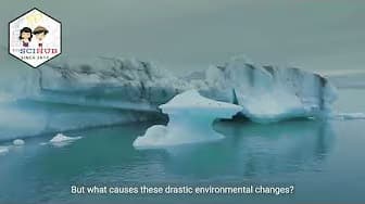 GRADE 9 BIOLOGY: How do species get extinct?
