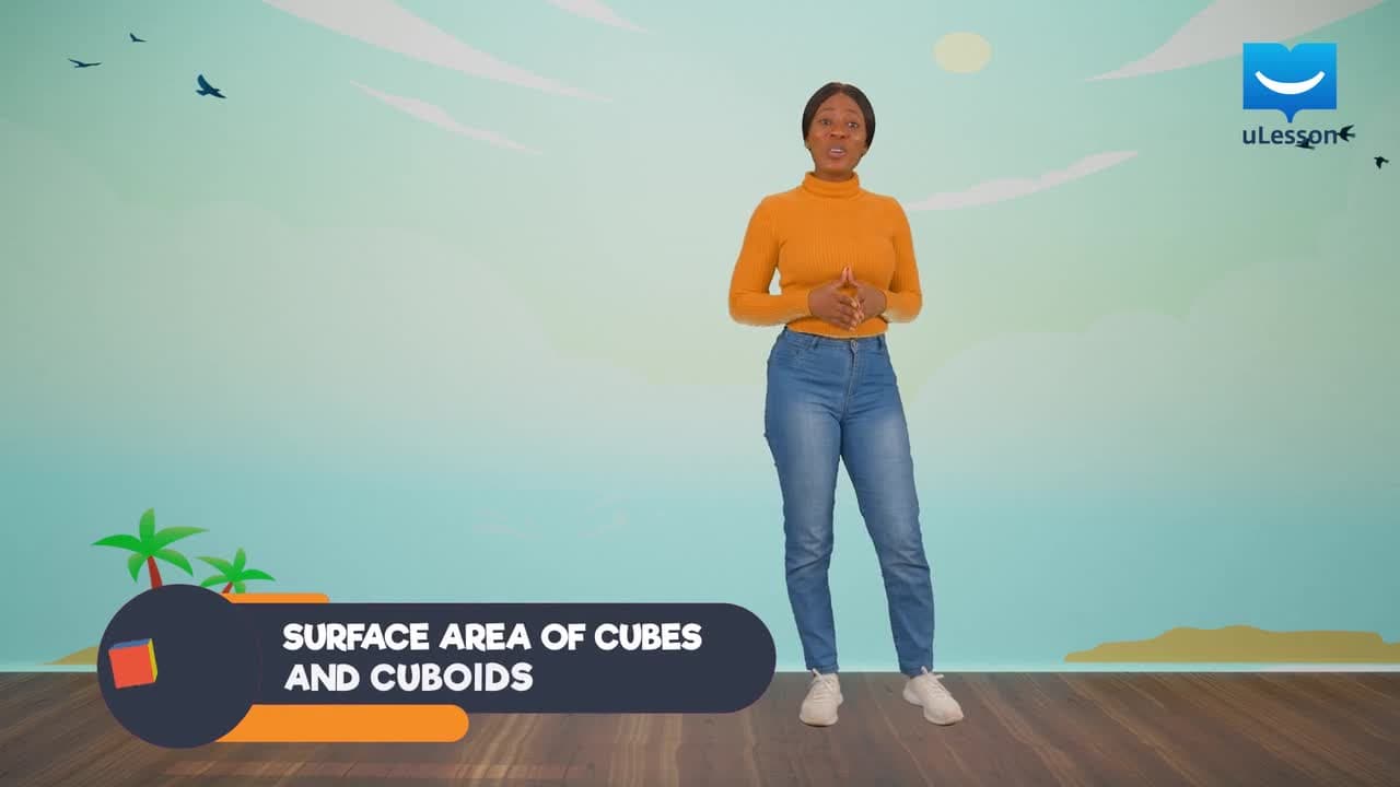 Solid Shapes - Surface Area - 5 - Surface Area of Cubes and Cuboids
