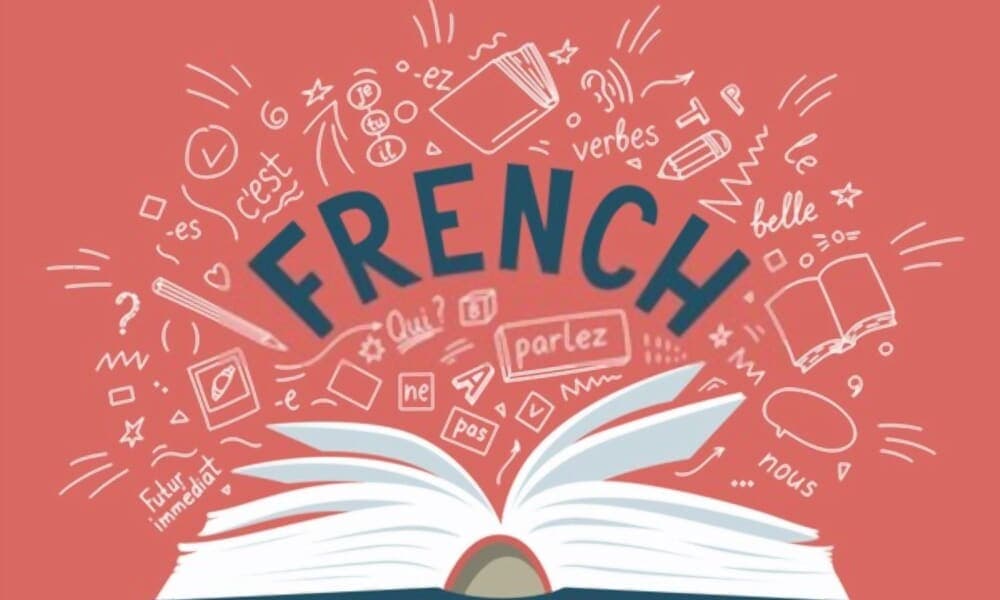JSS3 French Language