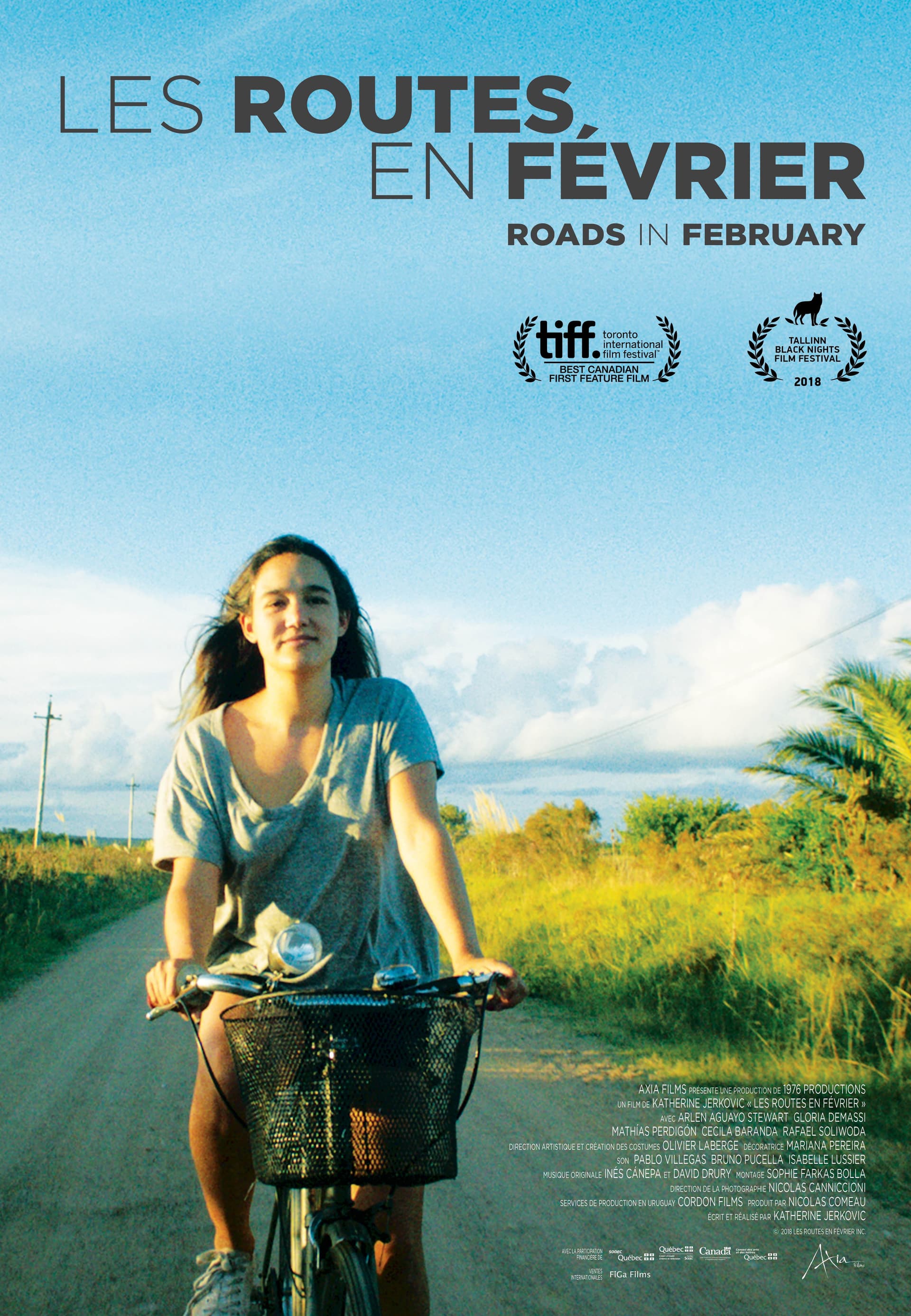 Roads in February