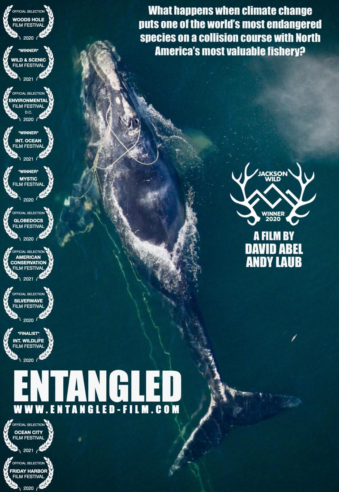 Entangled: The Race to Save Right Whales from Extinction