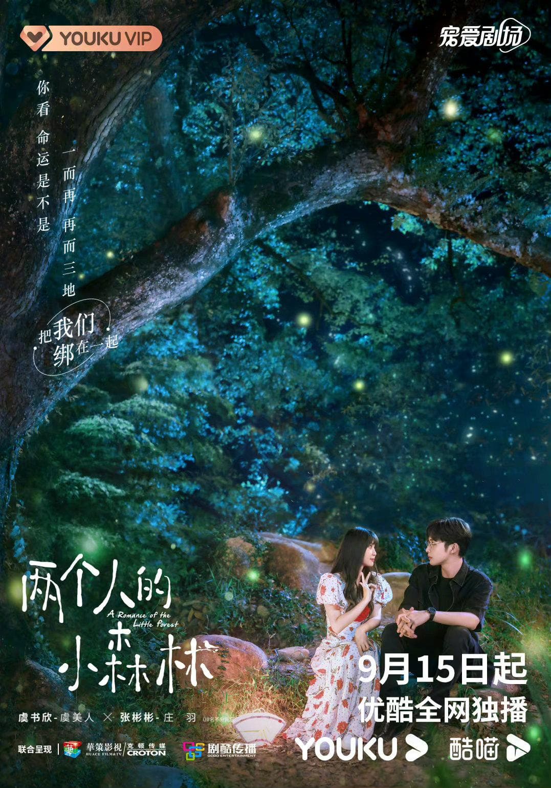 A Romance Of The Little Forest