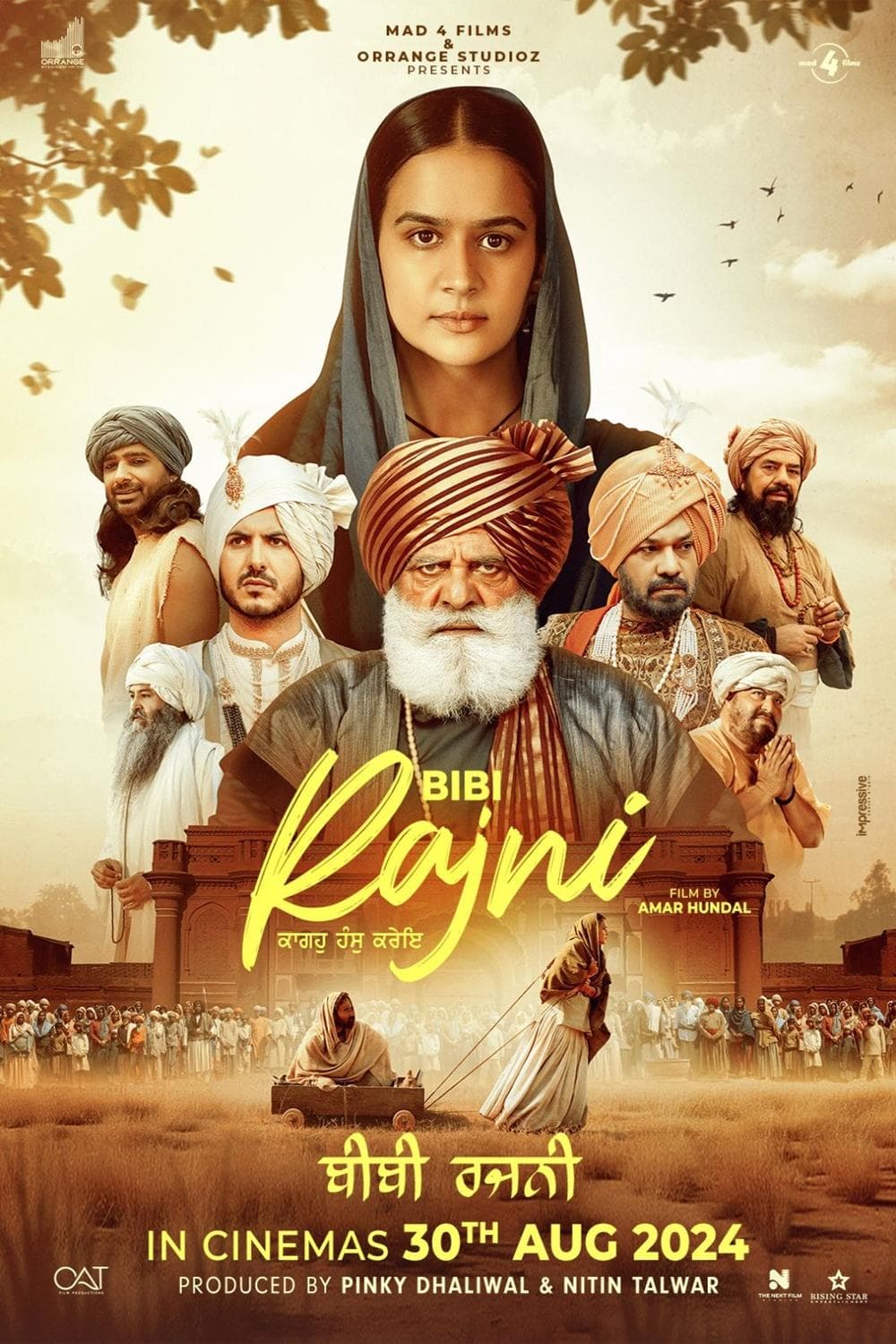 Bibi Rajni [Hindi CAM]