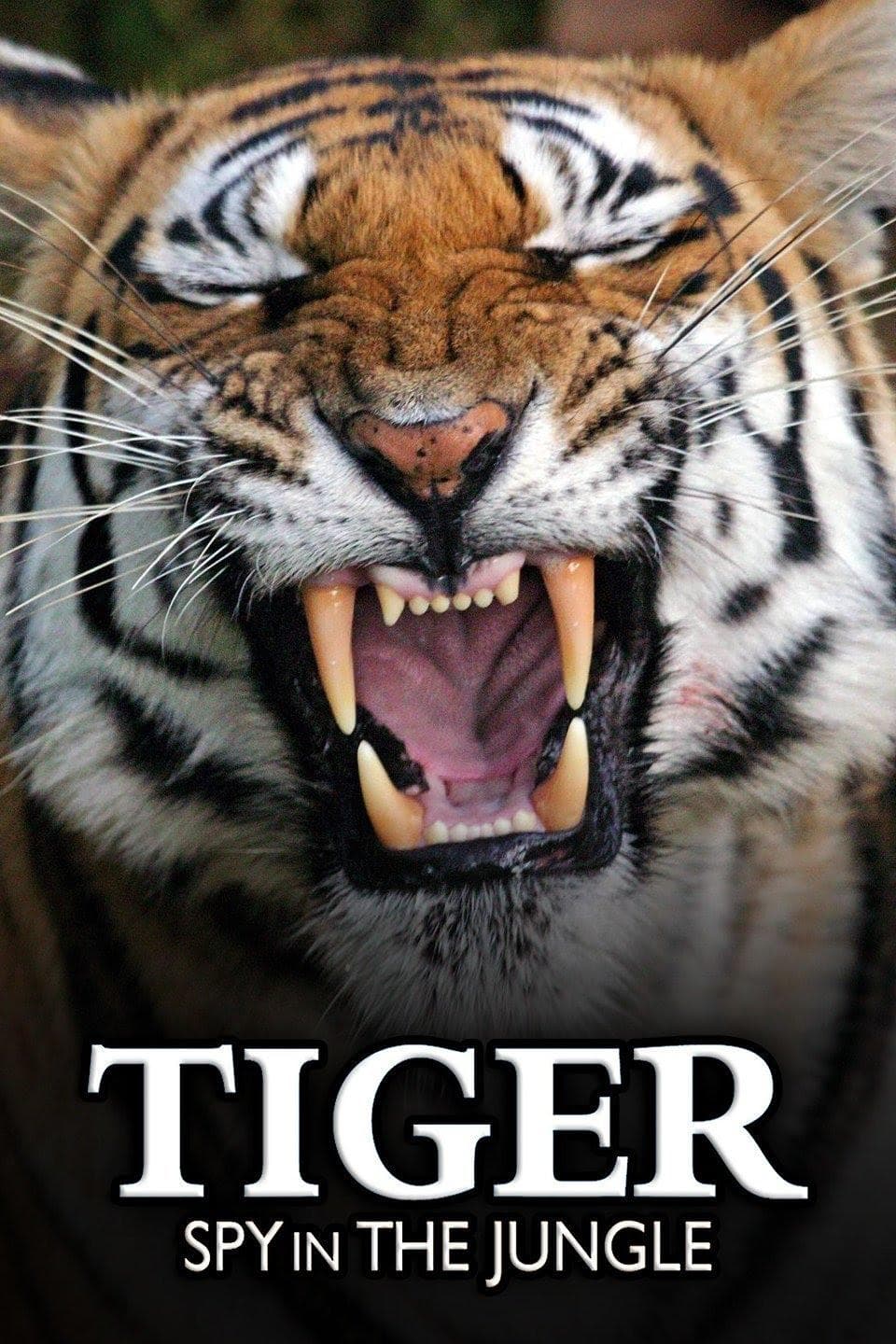 Tiger: Spy in the Jungle