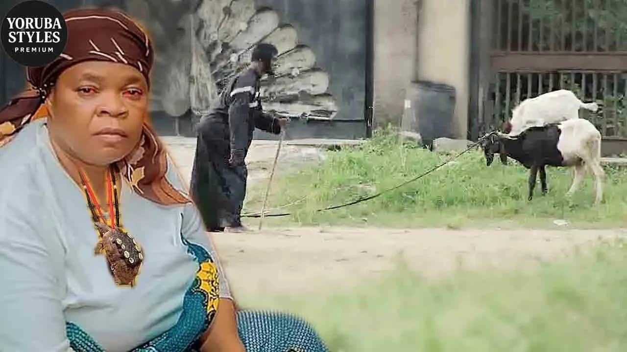Eran Iya Aje