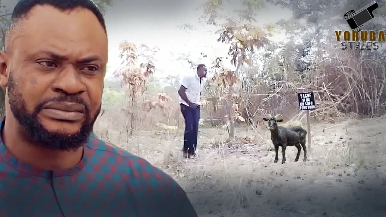 Eran Aje: Sacrificial Meat