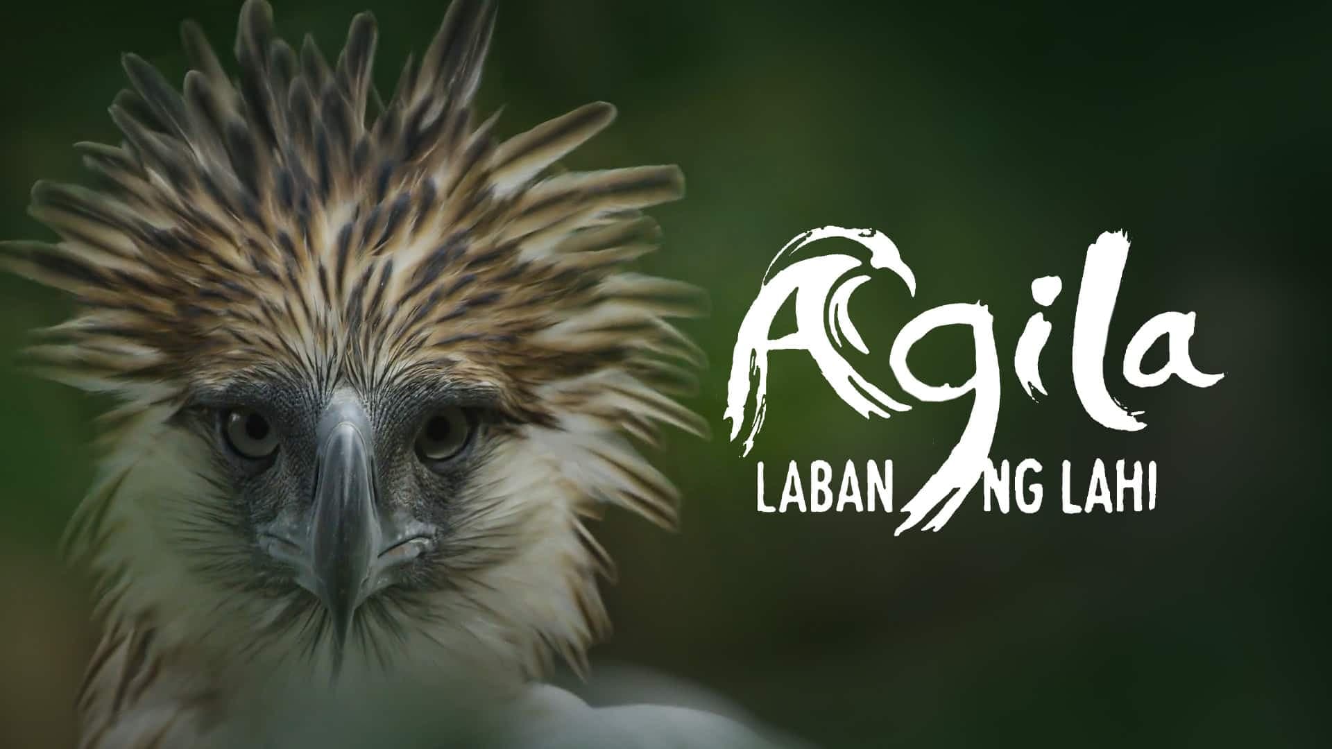 Agila: Laban Ng Lahi