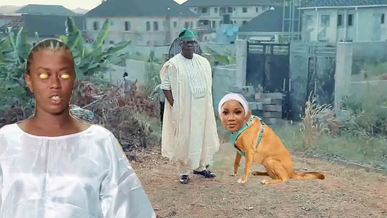Funke Omo Aja: Kalokalo