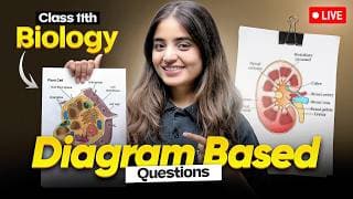 Class 11 Biology One Shot Playlist🔥| Full NCERT Biology Syllabus | Next Toppers Class 11th Biology | CBSE 2025-26 Exam | Apeksha Ma'am