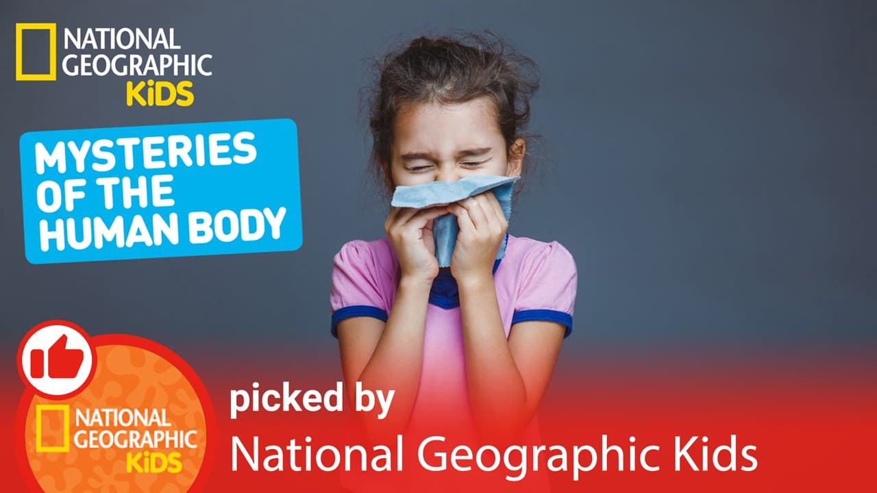 Mysteries of the Human Body Videos: Fun facts & more! | Nat Geo Kids