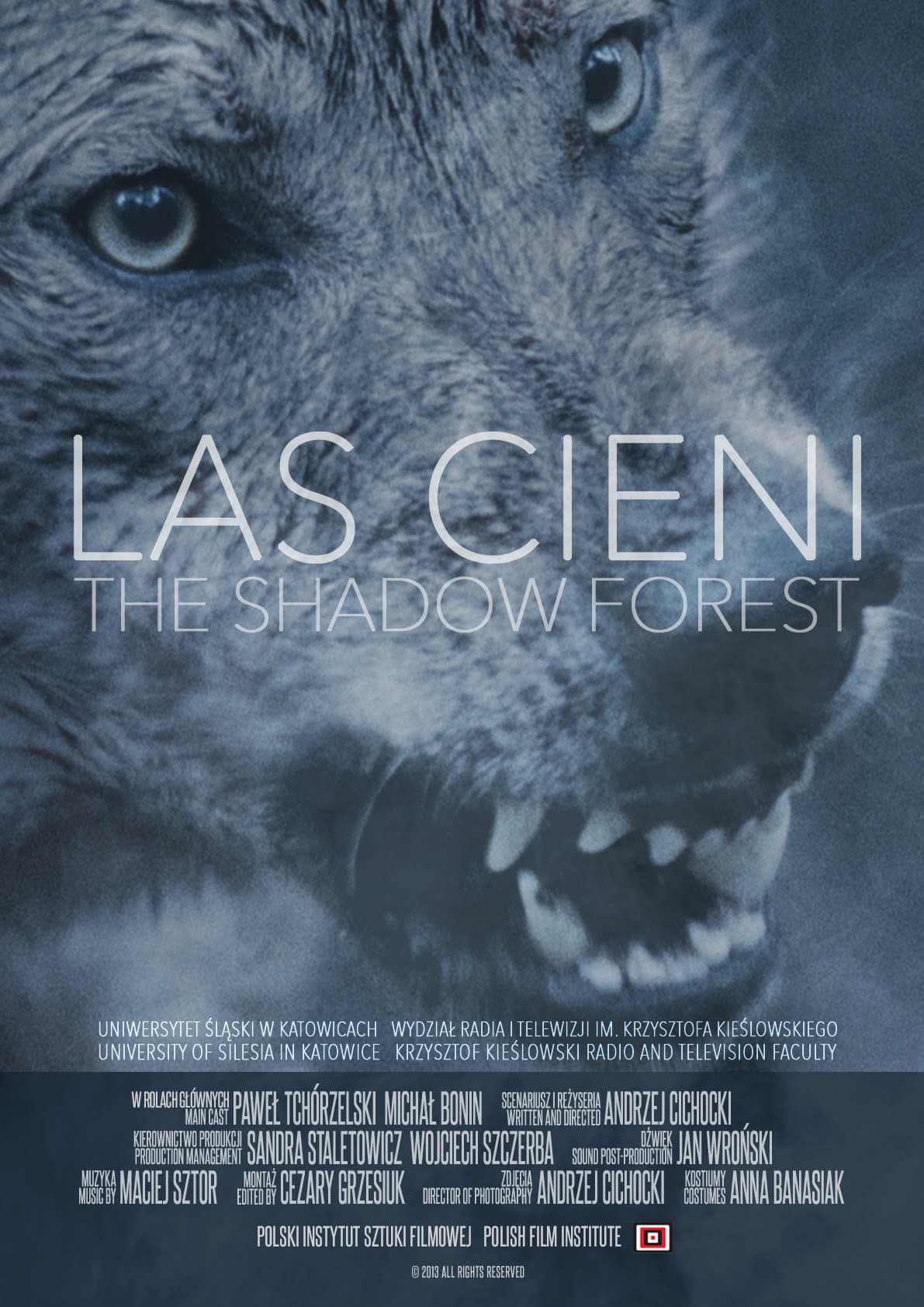 The Shadow Forest